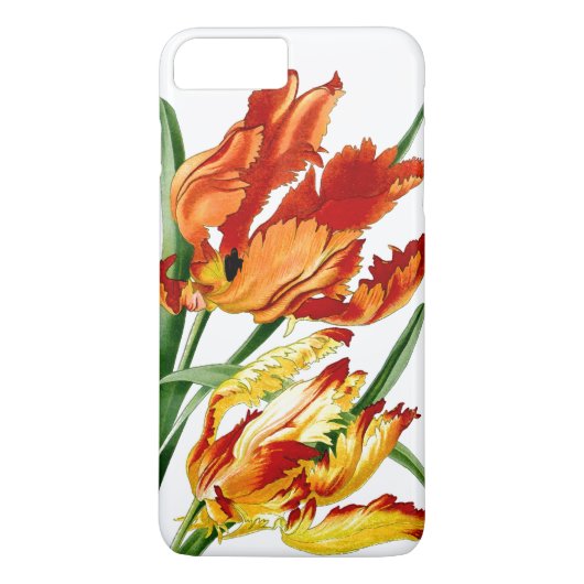 Botanische Papageien-Tulpe-BlumenBlume iPhone 7 Case-Mate iPhone Hülle (Rückseite)