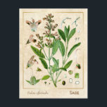 Botanische Pflanze der Vintagen Heilkräuter Postkarte<br><div class="desc">Mit Charmed Life's Vintagen Kräuterpostkarten mit deutschen Lithographien medizinischer Pflanze und Kräutern aus Franz Eugen Köhlers "Medizinal-" oder "Medizinal-Pflanze" von 1887 können Sie den Charme von gestern erfassen. Salvia officinalis (Salbei, auch Gartenschluge, Salbei oder kulinarischer Salbei genannt) ist ein immerwährender, immergrüner Subschub mit holzigen Stielen, grauen Blätter und blauen bis...</div>