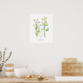 Botanische Pflanze des Kamillenkrauts Poster (Küche)