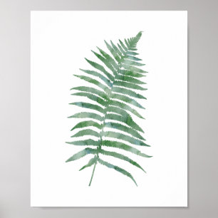 Botanische Pflanze Fern Leaf Grünes Wasser Poster