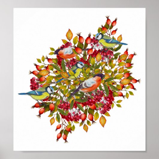 Botanische Pflanze- und Vogelillustrierungspalette Poster (Vorne)