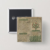 Botanische Pflanzen, Illustration von ' Button (Vorne & Hinten)