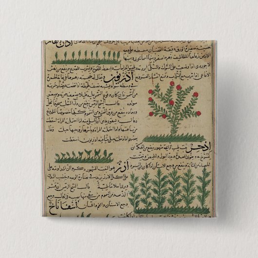 Botanische Pflanzen, Illustration von ' Button (Vorderseite)
