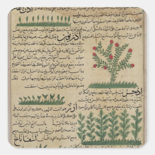 Botanische Pflanzen, Illustration von ' Quadratischer Aufkleber