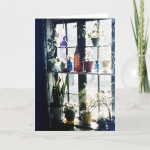 Botanische Pflanzen in farbenfrohen Glasflaschen Karte