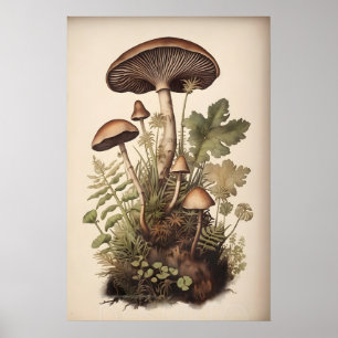 Botanische Pilze in Moosfarn, Boho-Waldlandschaft Poster