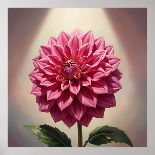 Botanische Pinke Dahlienblüte Poster (Vorne)