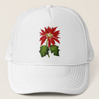 Botanische Poinsettia-Kappe