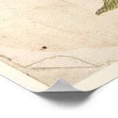 Botanische Poster-Cistus, Rock-Rose Poster (Ecke)