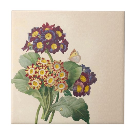 Botanische Primel Fliese (Vorderseite)
