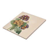 Botanische Primel Fliese (Seite)