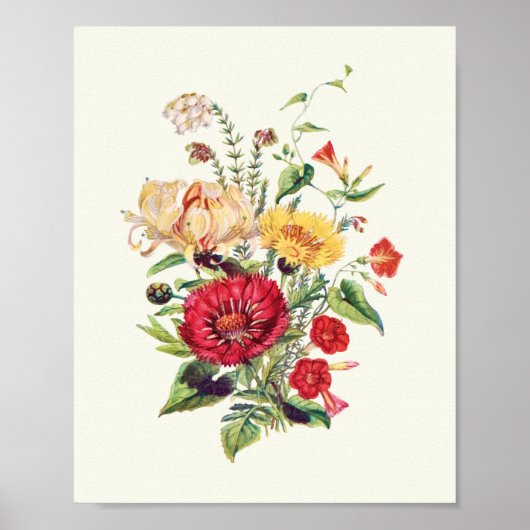 Botanische Printwerbung für antikes Wasser Poster (Vorne)