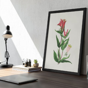 Botanische Printwerbung für antikes Wasser  Poster