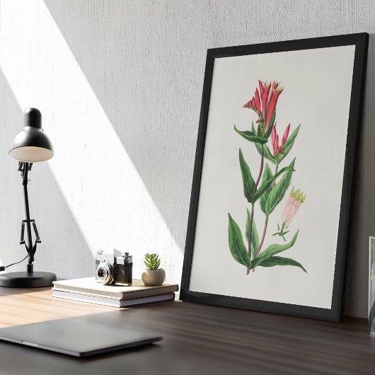 Botanische Printwerbung für antikes Wasser Poster