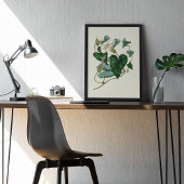 Botanische Printwerbung für antikes Wasser Poster