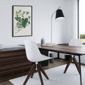 Botanische Printwerbung für antikes Wasser Poster