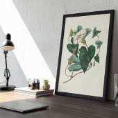 Botanische Printwerbung für antikes Wasser Poster