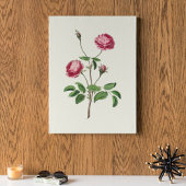 Botanische Printwerbung für antikes Wasser Poster