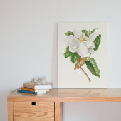 Botanische Printwerbung für antikes Wasser Poster