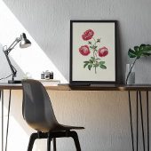 Botanische Printwerbung für antikes Wasser Poster