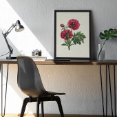 Botanische Printwerbung für antikes Wasser Poster