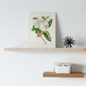 Botanische Printwerbung für antikes Wasser Poster