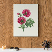 Botanische Printwerbung für antikes Wasser Poster