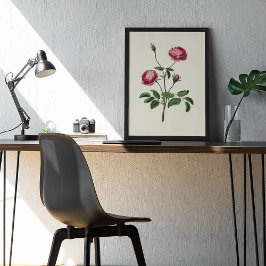 Botanische Printwerbung für antikes Wasser Poster