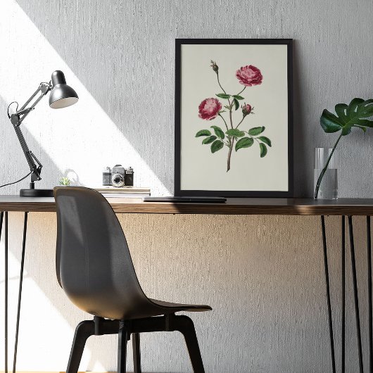 Botanische Printwerbung für antikes Wasser Poster