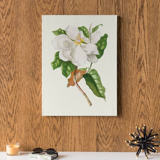 Botanische Printwerbung für antikes Wasser Poster