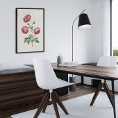 Botanische Printwerbung für antikes Wasser Poster