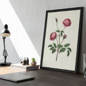 Botanische Printwerbung für antikes Wasser Poster