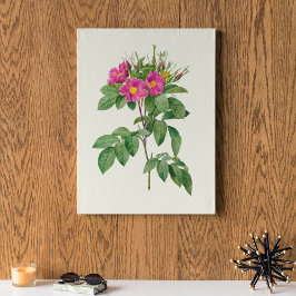 Botanische Printwerbung für antikes Wasser Poster