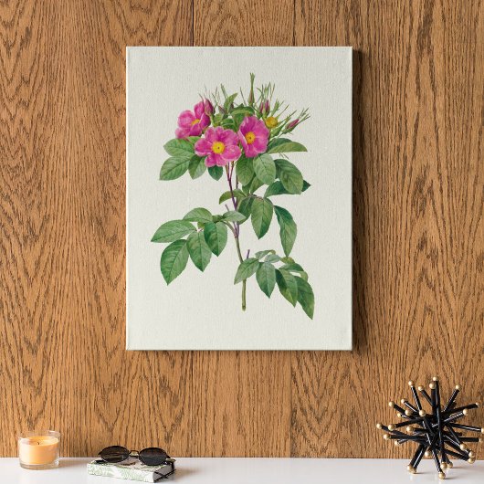 Botanische Printwerbung für antikes Wasser Poster