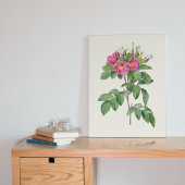 Botanische Printwerbung für antikes Wasser Poster