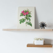 Botanische Printwerbung für antikes Wasser Poster