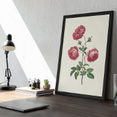 Botanische Printwerbung für antikes Wasser Poster