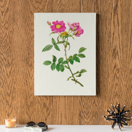 Botanische Printwerbung für antikes Wasser Poster