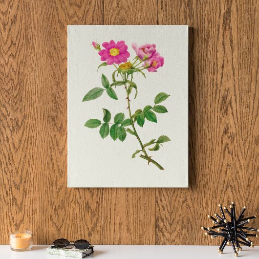 Botanische Printwerbung für antikes Wasser Poster