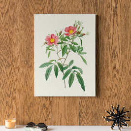 Botanische Printwerbung für antikes Wasser Poster