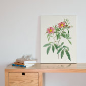 Botanische Printwerbung für antikes Wasser Poster