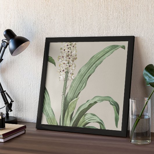 Botanische Printwerbung für antikes Wasser Poster