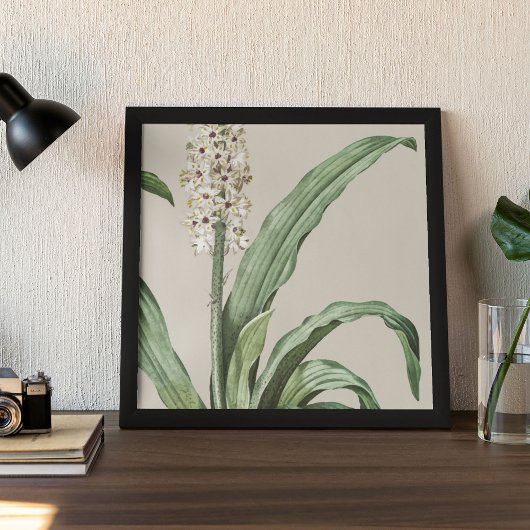 Botanische Printwerbung für antikes Wasser Poster