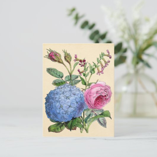 Botanische Printwerbung - Hydrangea & Rose Postkarte (Stehend Vorderseite)