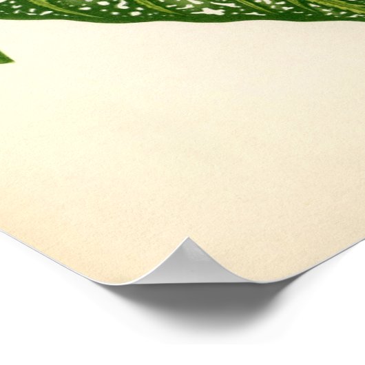 Botanische Printwerbung - Kaladium Leaf Poster (Ecke)