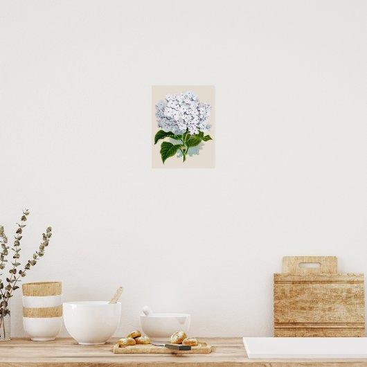 Botanische Printwerbung - Weißes Hydrangea Poster (Küche)