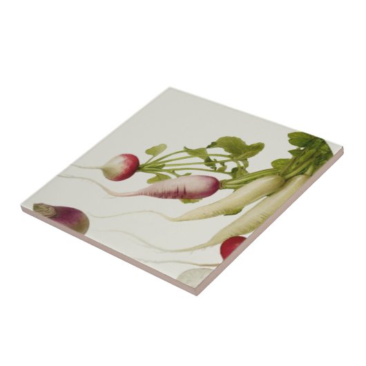 Botanische Radieschen Fliese (Seite)
