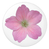 Botanische rosa Pelargonie-Blume auf irgendeiner Keramikknauf (Vorderseite)