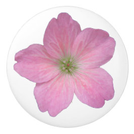 Botanische rosa Pelargonie-Blume auf irgendeiner Keramikknauf