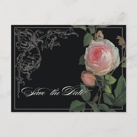Botanische Rosa, schwarz-Save the Date Postkarte (Vorderseite)